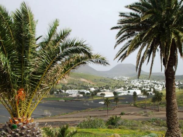Blick ins Tal der Tausend Palmen